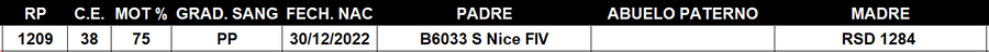 Lote LOTE 12