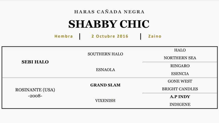 Lote SHABBY CHIC (SEBI HALO - RESONANTE)