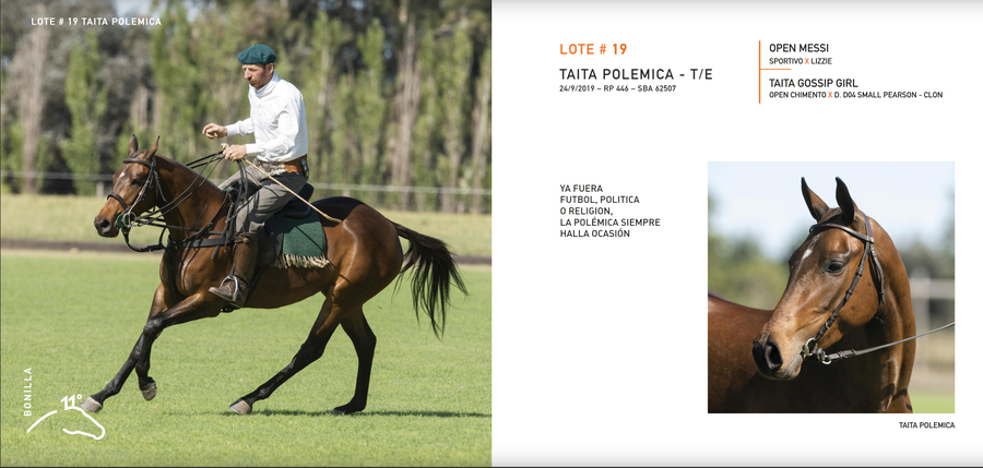Lote TAITA POLEMICA - T/E (OPEN MESSI - TAITA GOSSIP GIRL)