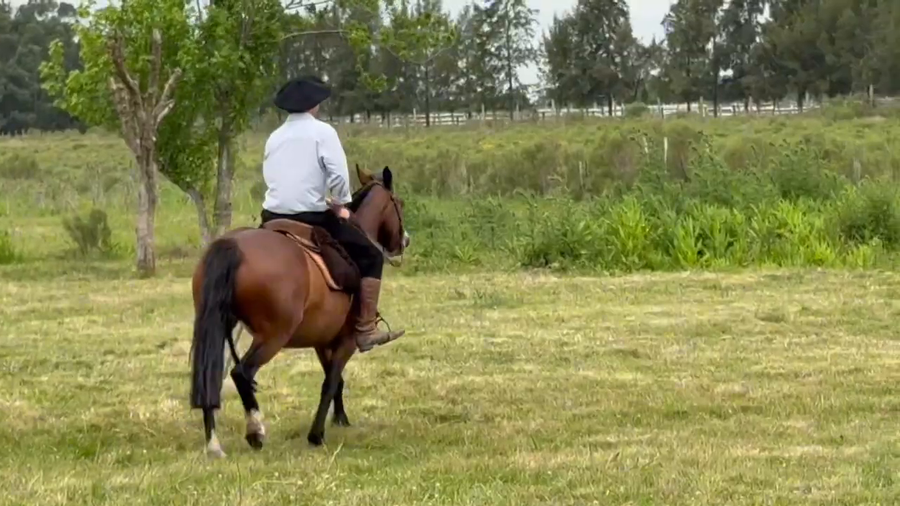 Lote RINCON QUERENDONA