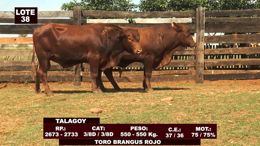 Lote Cabañas de Tradición - Lote 38