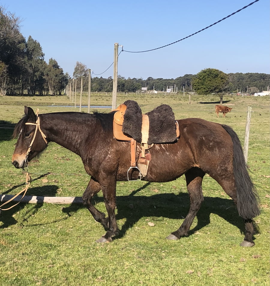 Lote Paso Ipanema (RP 34)- Cabaña "San German del Paso"