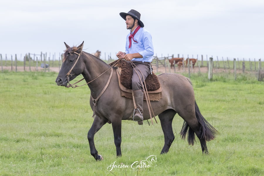 Lote Decidida De Los Recuerdos TE
