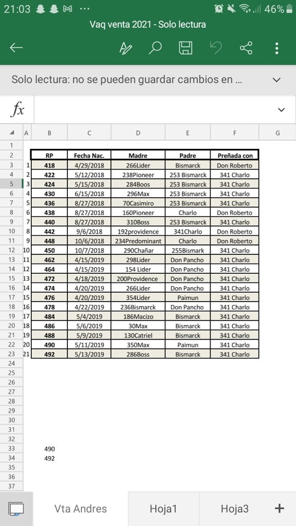 Lote 24 Vaquillonas en Buenos Aires, Gral. Belgrano