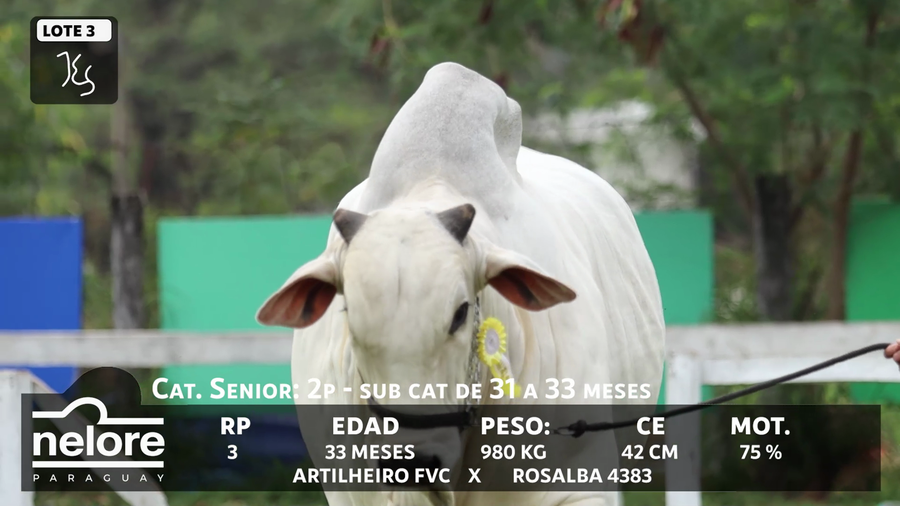 Lote LOTE 3 - BOZAL