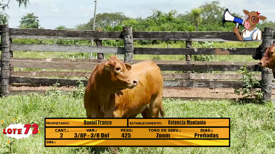 Lote LOTE 73 -EN VIVO