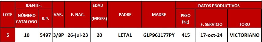 Lote LOTE 5
