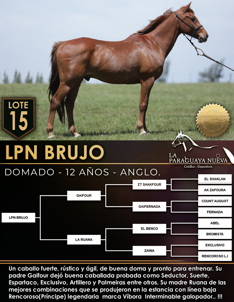 Lote LPN BRUJO