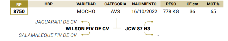 Lote LOTE 40