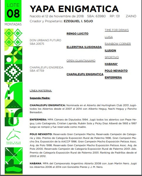 Lote YAPA ENIGMÁTICA(DON URBANO FUTURO-CHAPALEUFÚ ENGREÍDA)