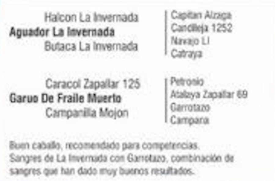 Lote ALAMO DE FRAILE MUERTO