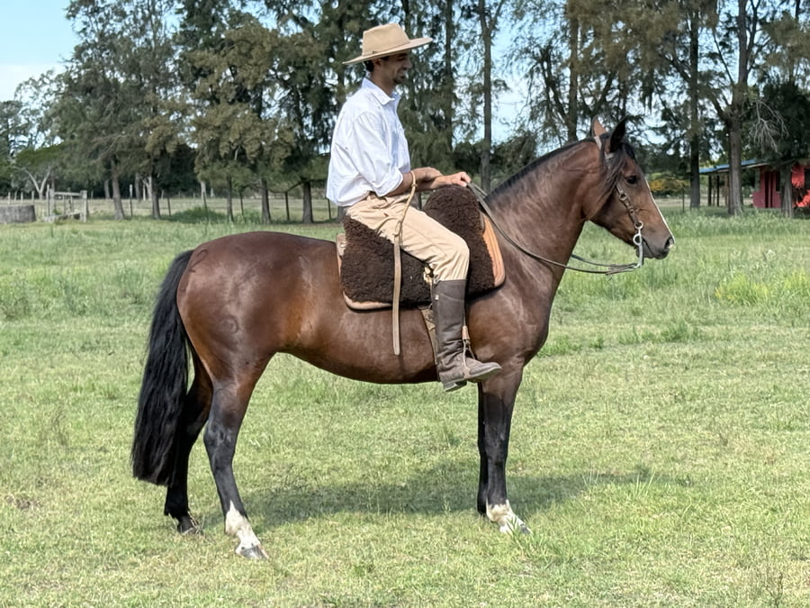 Lote MAITA CHANCLETA