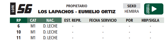 Lote LOTE 56