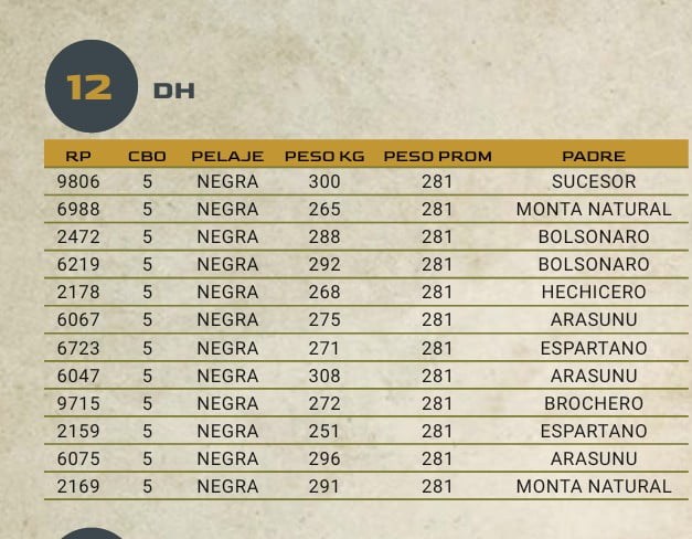 Lote LOTE 12