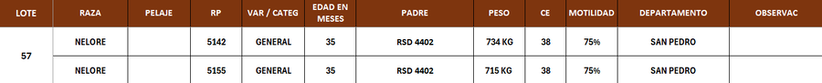 Lote LOTE 57