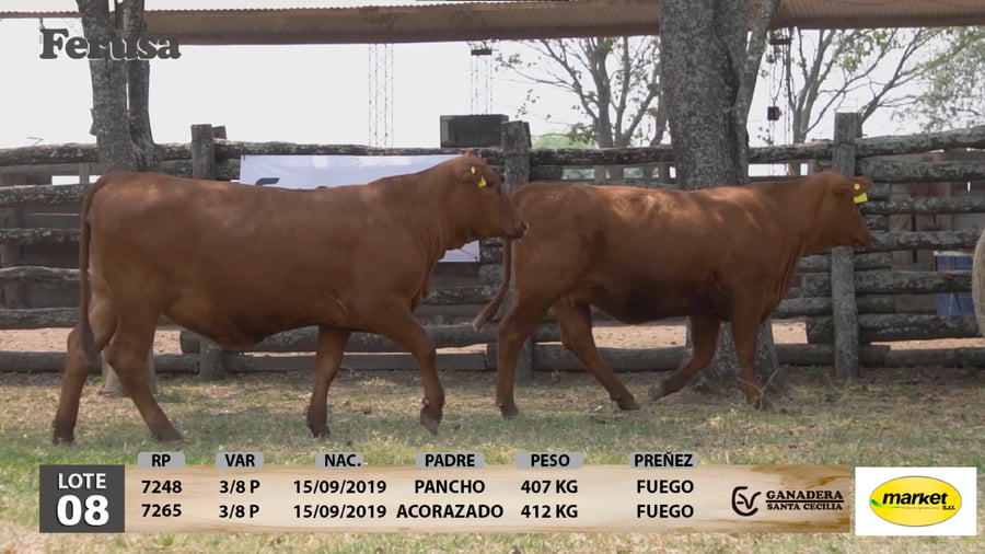 Lote Ganadera Santa Cecilia - Lote 8