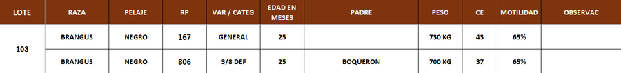 Lote LOTE 103