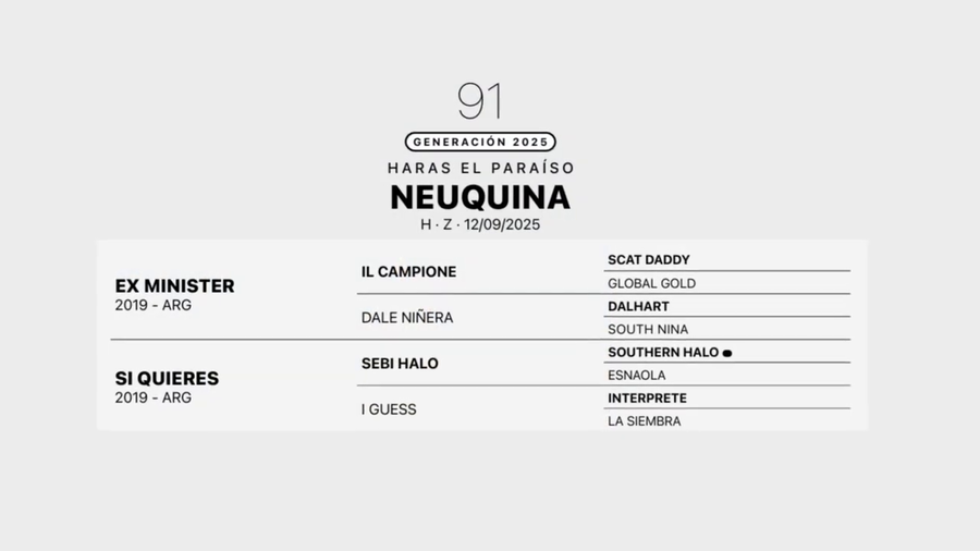 Lote NEUQUINA