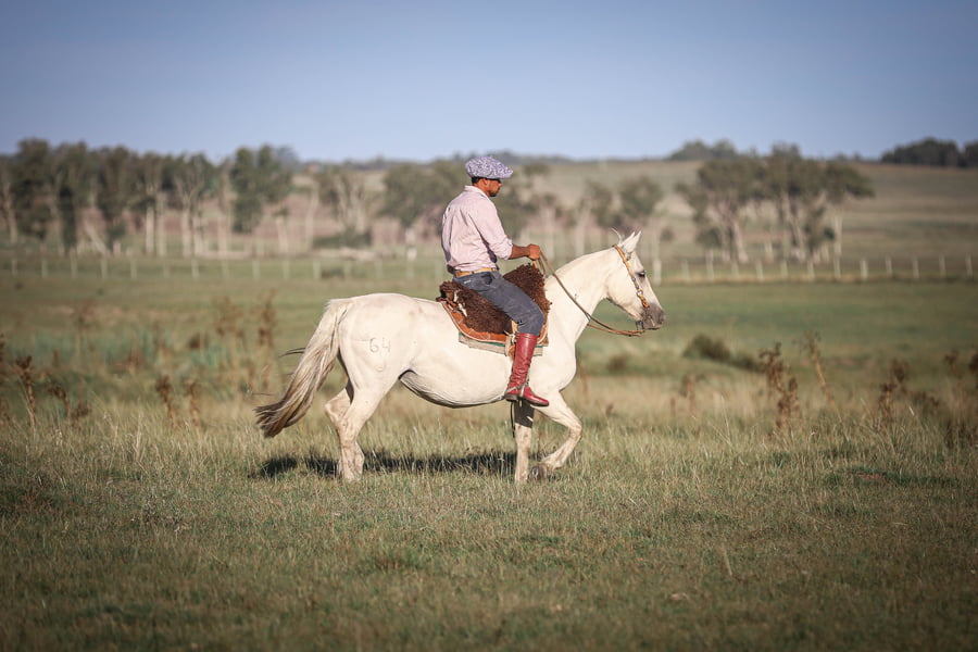 Lote Cleopatra La Magdalena