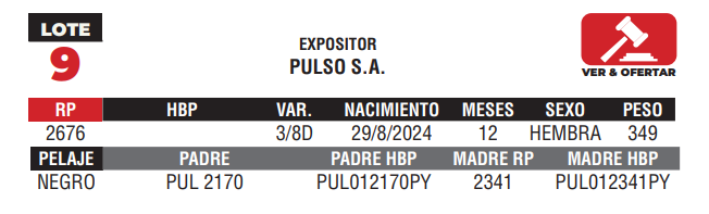 Lote LOTE 9 - JUNIOR