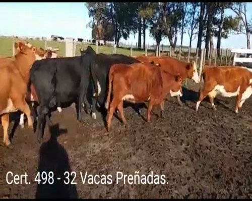 Lote (Vendido)32 Vacas preñadas 2 AA - 10HE - 5 AA/ HE - 8 RA/ HE - 2 NO/ BF  - 2 NO - 1 CH - 2 AA/ BF      a remate en Remate virtual de Coco Morales & Asoc. 465kg -  en  A 16 KM DE EGAÑA Y 60 KM DE MERCEDES