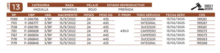 Lote LOTE 13