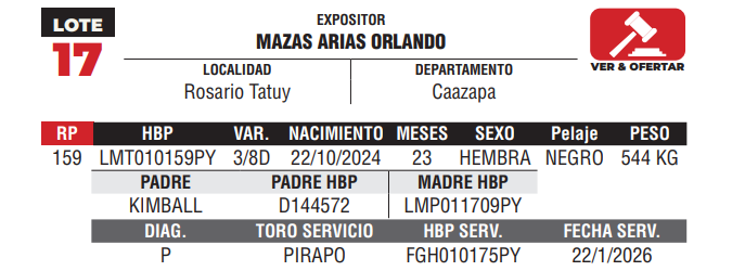 Lote LOTE 17 - DE CAMPO