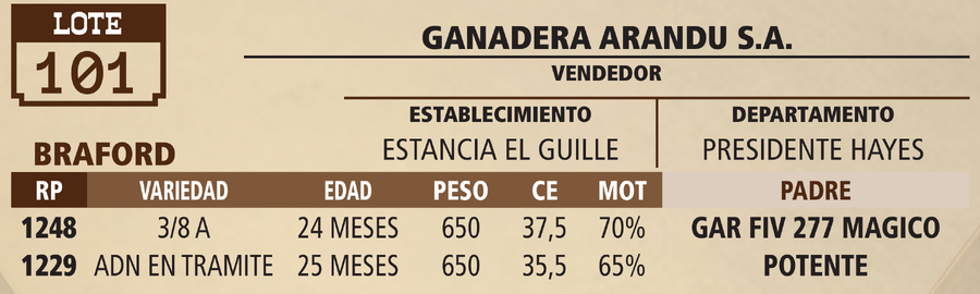 Lote LOTE 101 - VIVO