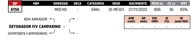 Lote LOTE 55