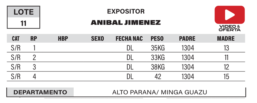 Lote LOTE 11- POR PANTALLA