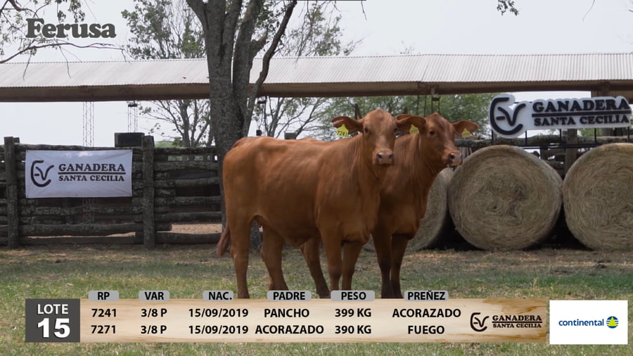 Lote Ganadera Santa Cecilia - Lote 15