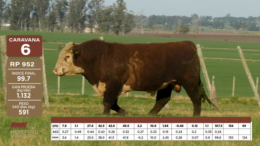 Lote Caravana 6 "Ganadera Inquieta"