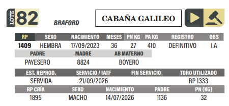 Lote LOTE 82