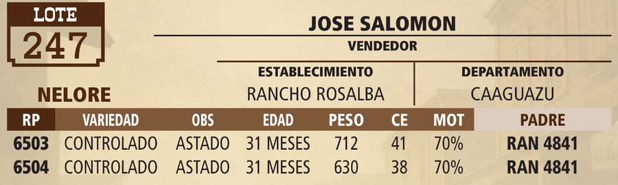 Lote LOTE 247 - VIVO