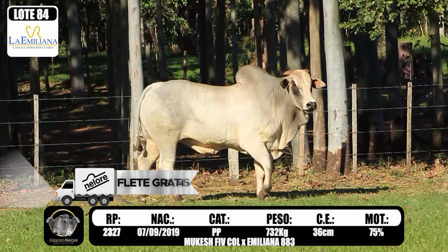 Lote LOTE   84 -RP K2327