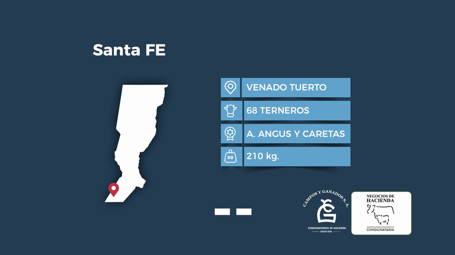 Lote 68 Terneros en Santa Fe, Venado Tuerto