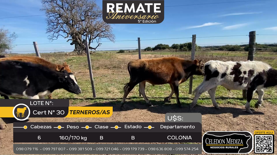 Lote 6 Terneros y Terneras en Paso Hospital,Colonia