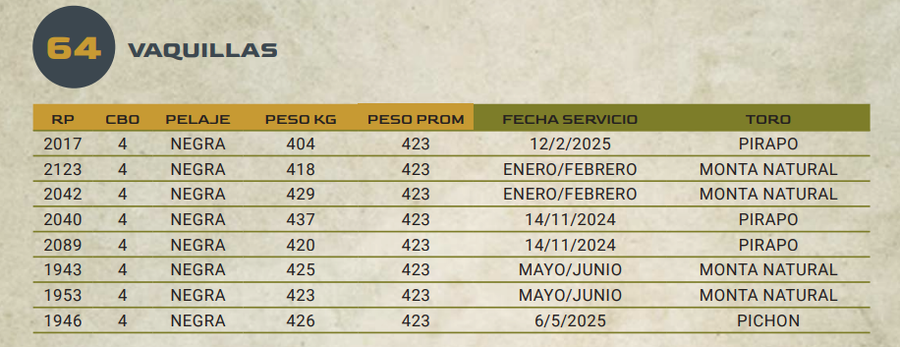 Lote LOTE 64