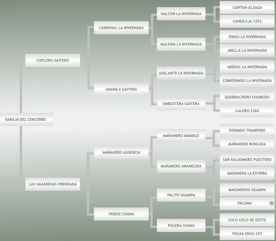 Lote Baraja Del Cencerro