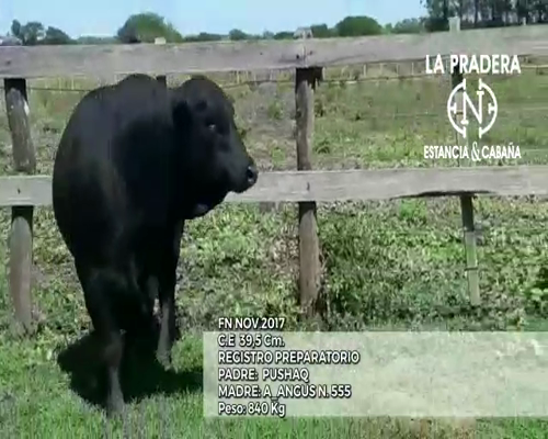 Lote CABAÑA "LA PRADERA" 705