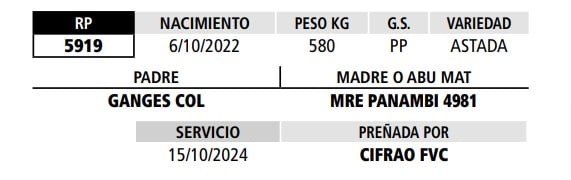 Lote LOTE 13