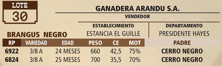 Lote LOTE 30 - VIVO