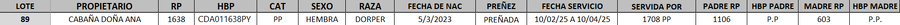 Lote LOTE 89