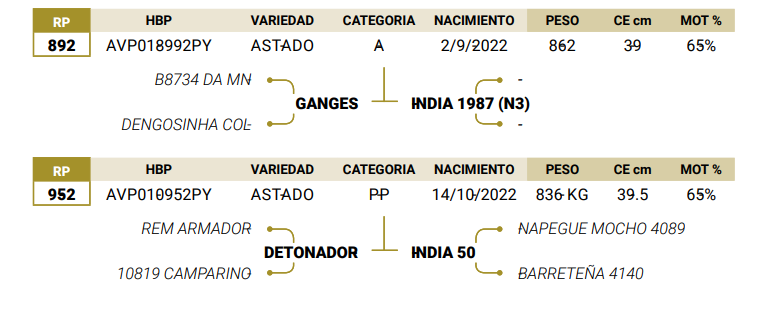 Lote LOTE 32