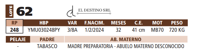 Lote LOTE 62