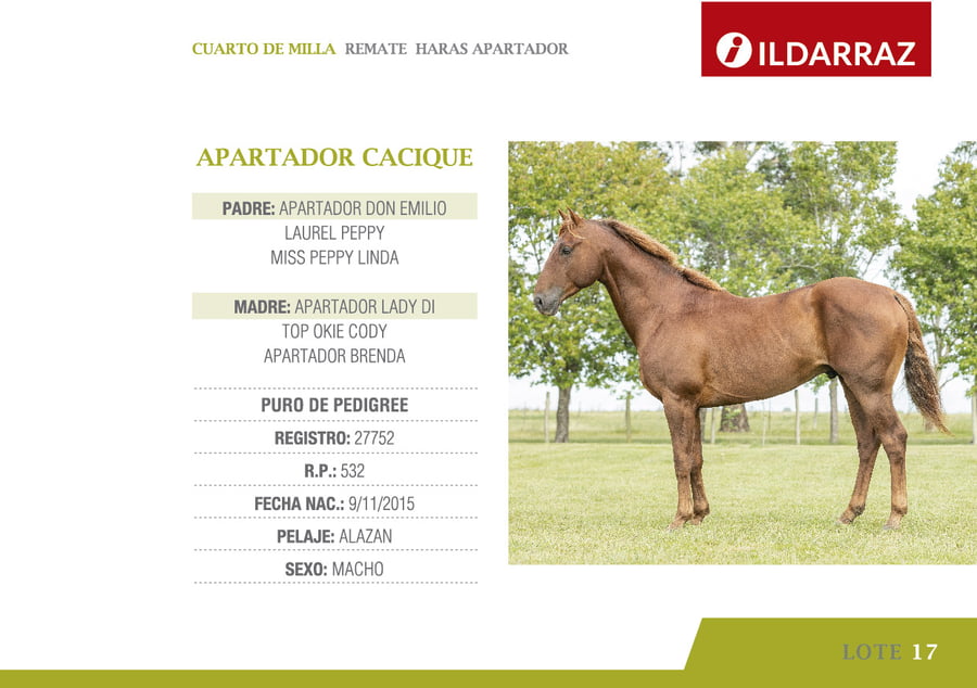Lote APARTADOR CACIQUE