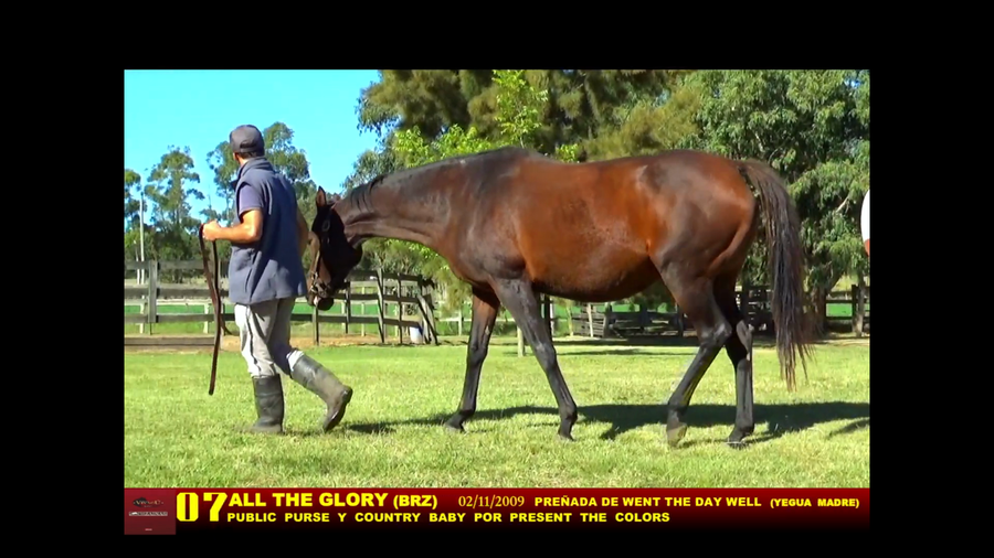 Lote ALL THE GLORY (BRZ)