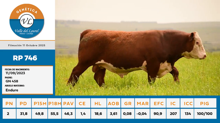 Lote RP 746 - Valle del Laurel