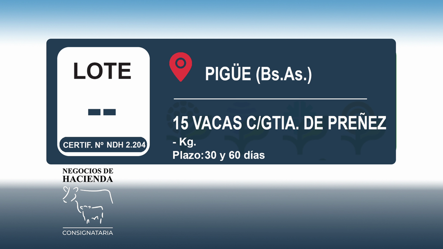 Lote 15 Vacas nuevas C/ gtia de preñez en Buenos Aires, Las Flores