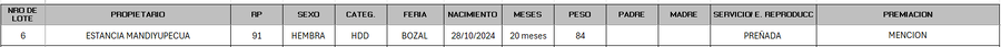 Lote LOTE 6 - BOZAL